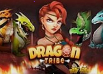 Game dragon-tribe